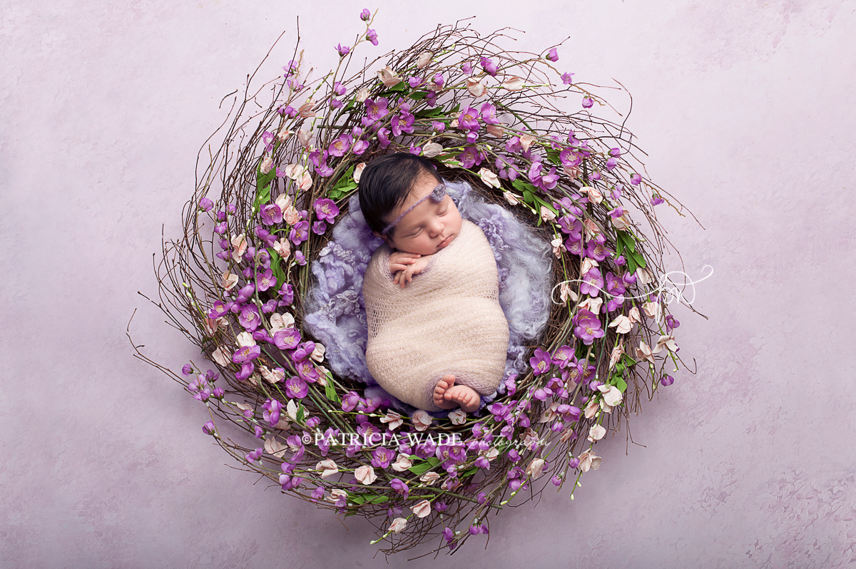 spring newborn collage g3 set-6